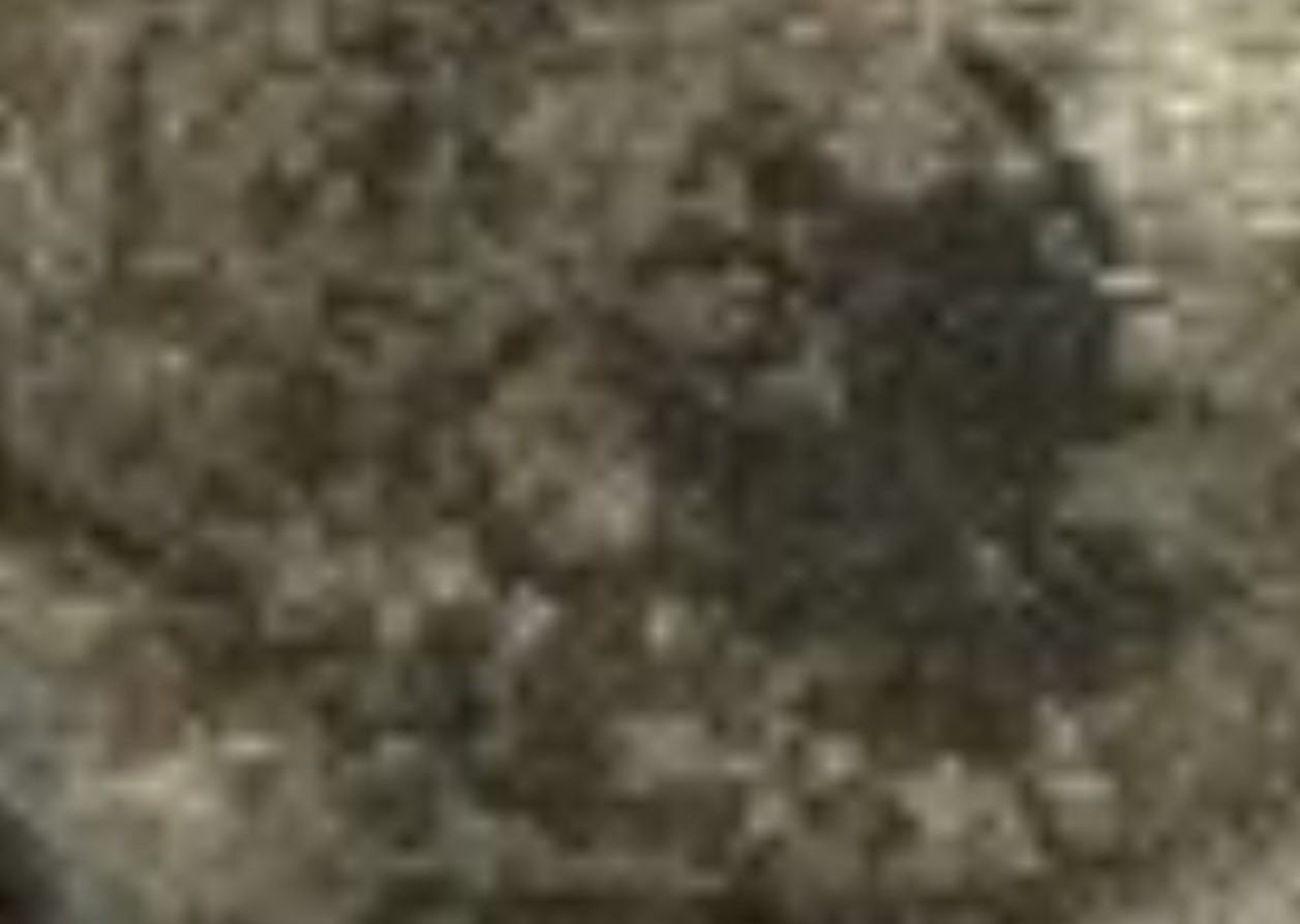 1825-O-108-Capped-Bust-Half